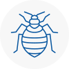 Bed Bug Extermination In Milnthorpe